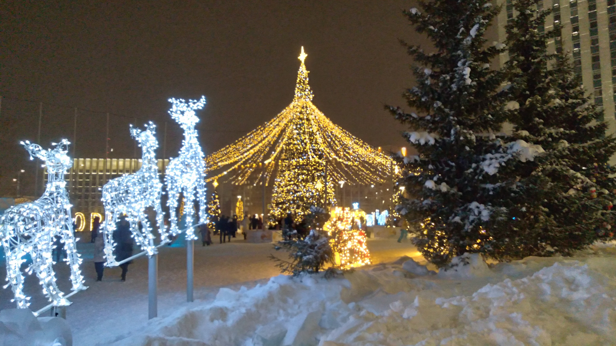 Ночной Архангельск