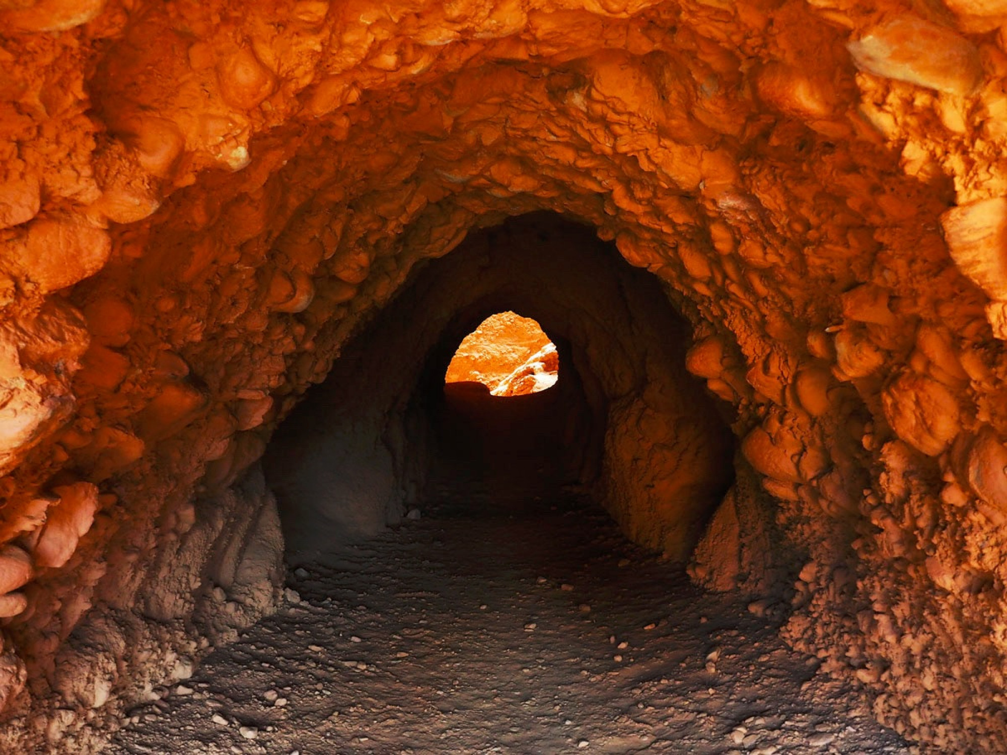 Лас Медулас