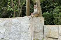 /shared/upload/IMAGES/Galery/China_Алла_2025/img-1630-wd-marked.jpg
