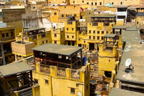 /shared/upload/IMAGES/Galery/Marocco-august-2023/fes-1-wd-marked.jpg