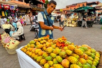 /shared/upload/IMAGES/Galery/Marocco-august-2023/marrakesh-7.jpg