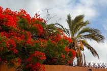 /shared/upload/IMAGES/Galery/Marocco-august-2023/marrakesh-8.jpg