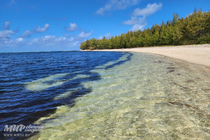 /shared/upload/IMAGES/Galery/Mauritius-2024/20241112-143002-wd-marked.jpg