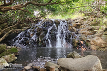 /shared/upload/IMAGES/Galery/Mauritius-2024/20241115-145908-wd-marked.jpg
