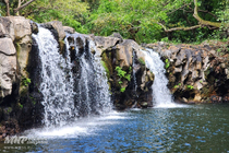 /shared/upload/IMAGES/Galery/Mauritius-2024/20241118-132356-wd-marked.jpg