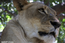 /shared/upload/IMAGES/Galery/Mauritius-2024/c27a2449-wd-marked.jpg