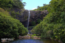 /shared/upload/IMAGES/Galery/Mauritius-2024/c27a2706-wd-marked.jpg