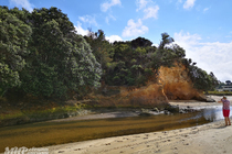 /shared/upload/IMAGES/Galery/New-Zealand-2024/img-20191116-160838-wd-marked.jpg