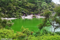 /shared/upload/IMAGES/Galery/New-Zealand-2024/img-20191118-154058-wd-marked.jpg