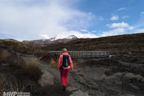 /shared/upload/IMAGES/Galery/New-Zealand-2024/img-20191119-165613-wd-marked.jpg