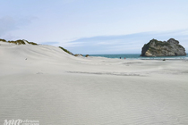 /shared/upload/IMAGES/Galery/New-Zealand-2024/img-20191124-113730-wd-marked.jpg