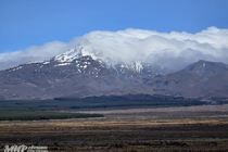 /shared/upload/IMAGES/Galery/New_Zealand_2025/doroga-v-wellington-20251113-104213-wd-marked.jpg