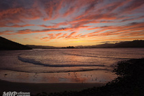 /shared/upload/IMAGES/Galery/New_Zealand_2025/dunedin-20251119-210815-wd-marked.jpg