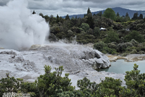 /shared/upload/IMAGES/Galery/New_Zealand_2025/geyser-pokhutu-20251110-105127-wd-marked.jpg
