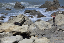 /shared/upload/IMAGES/Galery/New_Zealand_2025/kaikoura-20251114-121243-wd-marked.jpg