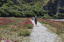 /shared/upload/IMAGES/Galery/New_Zealand_2025/kaikoura-20251114-133731-wd-marked.jpg