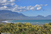 /shared/upload/IMAGES/Galery/New_Zealand_2025/kaikoura-20251114-181354-wd-marked.jpg
