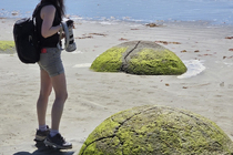 /shared/upload/IMAGES/Galery/New_Zealand_2025/moeraki-20251120-114056-wd-marked.jpg