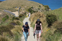 /shared/upload/IMAGES/Galery/New_Zealand_2025/moeraki-20251120-130120-wd-marked.jpg