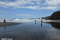 /shared/upload/IMAGES/Galery/New_Zealand_2025/piha-20251108-141506-wd-marked.jpg