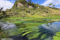 /shared/upload/IMAGES/Galery/New_Zealand_2026/20260319-153133-wd-marked.jpg