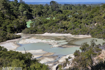 /shared/upload/IMAGES/Galery/New_Zealand_2026/20260320-111235-wd-marked.jpg