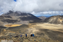 /shared/upload/IMAGES/Galery/New_Zealand_2026/20260321-120812-wd-marked.jpg