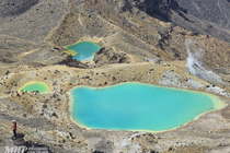 /shared/upload/IMAGES/Galery/New_Zealand_2026/20260321-125314-wd-marked.jpg