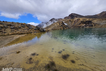 /shared/upload/IMAGES/Galery/New_Zealand_2026/20260321-131308-wd-marked.jpg