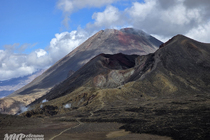 /shared/upload/IMAGES/Galery/New_Zealand_2026/20260321-132740-wd-marked.jpg