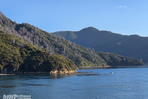 /shared/upload/IMAGES/Galery/New_Zealand_2026/20260322-175734-wd-marked.jpg