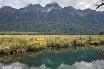 /shared/upload/IMAGES/Galery/New_Zealand_2026/20260328-140437-wd-marked.jpg