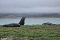 /shared/upload/IMAGES/Galery/New_Zealand_2026/20260329-125927-wd-marked.jpg