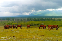 /shared/upload/IMAGES/Galery/Tuva-2023/img-20230809-160342-wd-marked.jpg