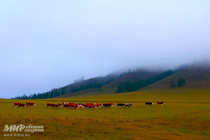 /shared/upload/IMAGES/Galery/Tuva-2023/img-20230810-074427-wd-marked.jpg