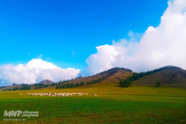 /shared/upload/IMAGES/Galery/Tuva-2023/img-20230810-090754-wd-marked.jpg
