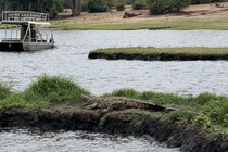 /shared/upload/IMAGES/Galery/Viktoria_2025/chobe-img-1989.jpg