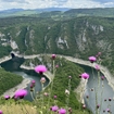 Наталья